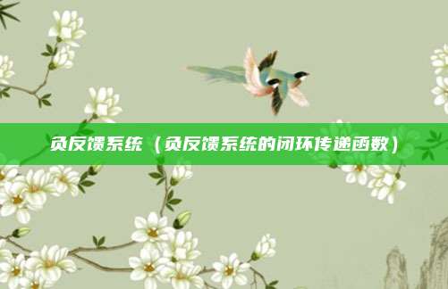 负反馈系统（负反馈系统的闭环传递函数）