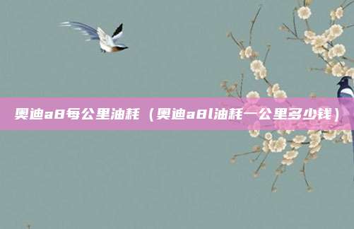 奥迪a8每公里油耗（奥迪a8l油耗一公里多少钱）