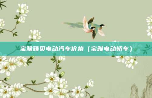 宝雅雅贝电动汽车价格（宝雅电动轿车）