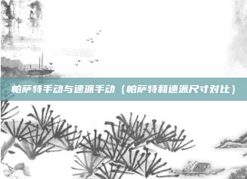 帕萨特手动与速派手动（帕萨特和速派尺寸对比）
