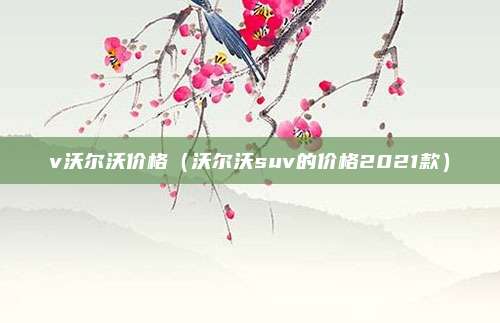 v沃尔沃价格（沃尔沃suv的价格2021款）