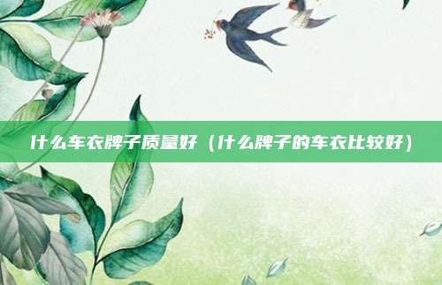 什么车衣牌子质量好（什么牌子的车衣比较好）