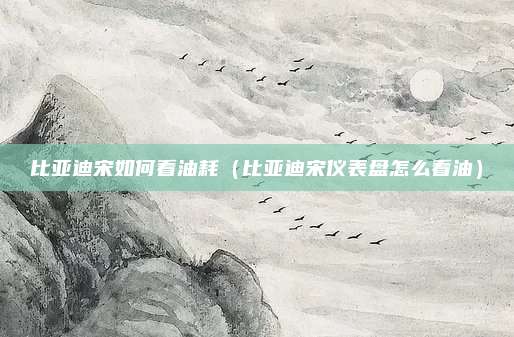 比亚迪宋如何看油耗（比亚迪宋仪表盘怎么看油）