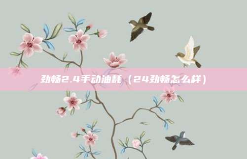 劲畅2.4手动油耗（24劲畅怎么样）