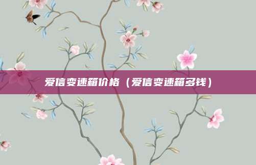 爱信变速箱价格（爱信变速箱多钱）