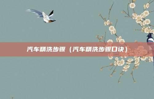 汽车精洗步骤(汽车精洗步骤口诀)