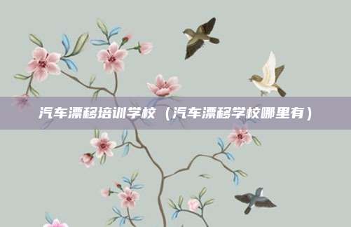 汽车漂移培训学校（汽车漂移学校哪里有）