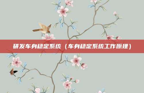 研发车身稳定系统（车身稳定系统工作原理）