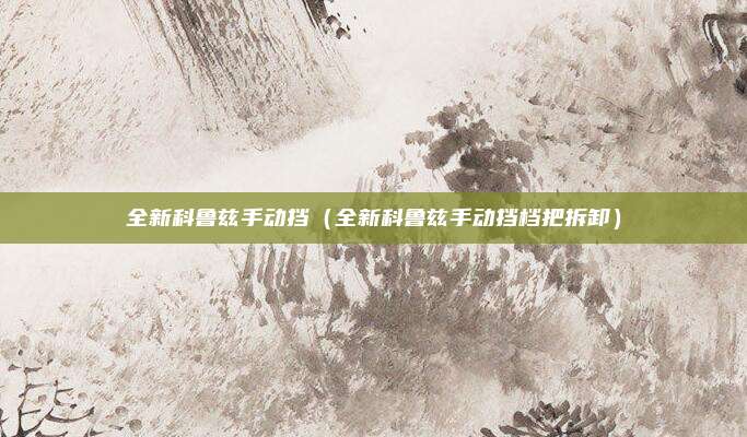 全新科鲁兹手动挡(全新科鲁兹手动挡档把拆卸)