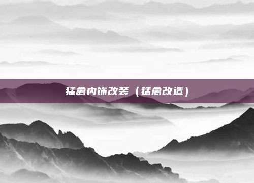 猛禽内饰改装（猛禽改造）