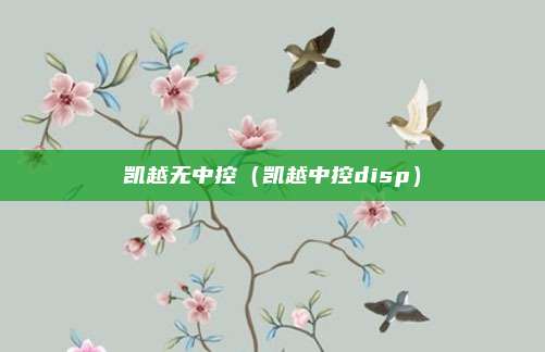 凯越无中控(凯越中控disp)
