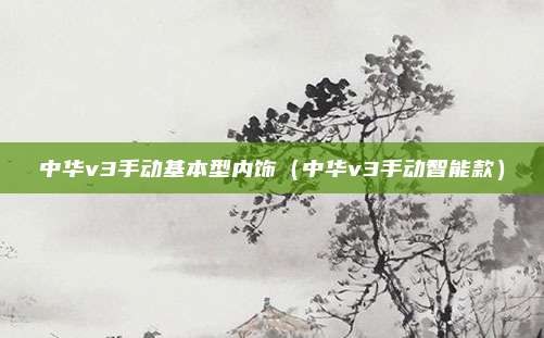 中华v3手动基本型内饰（中华v3手动智能款）
