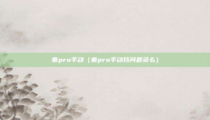 秦pro手动（秦pro手动挡问题多么）