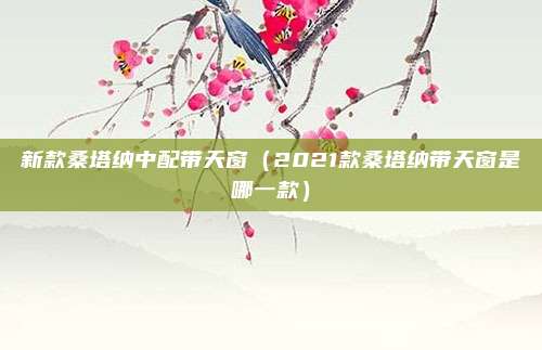 新款桑塔纳中配带天窗（2021款桑塔纳带天窗是哪一款）
