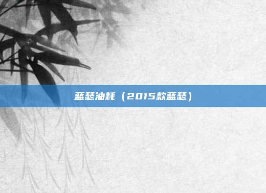 蓝瑟油耗（2015款蓝瑟）