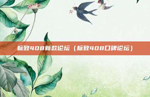 标致408新款论坛（标致408口碑论坛）