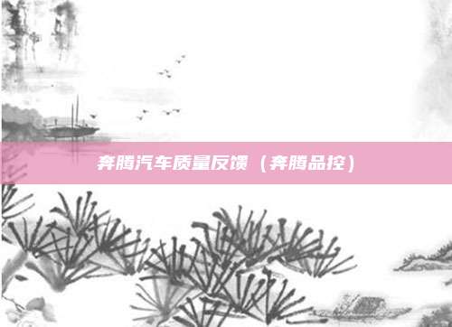 奔腾汽车质量反馈（奔腾品控）