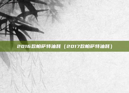 2016款帕萨特油耗(2017款帕萨特油耗)