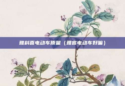 雅科喜电动车质量(雅客电动车好嘛)