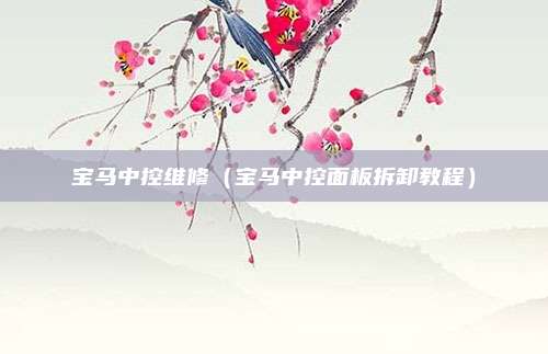 宝马中控维修(宝马中控面板拆卸教程)