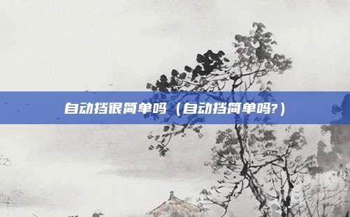 自动挡很简单吗(自动挡简单吗?)