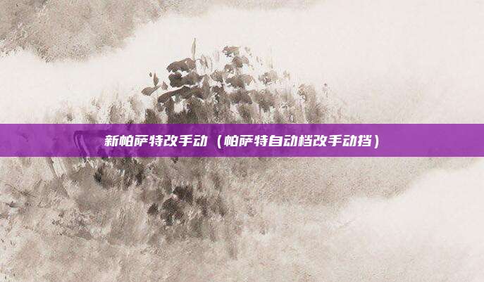 新帕萨特改手动(帕萨特自动档改手动挡)