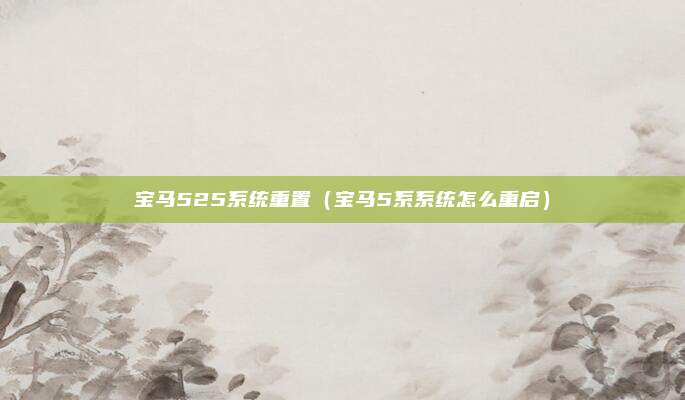宝马525系统重置（宝马5系系统怎么重启）