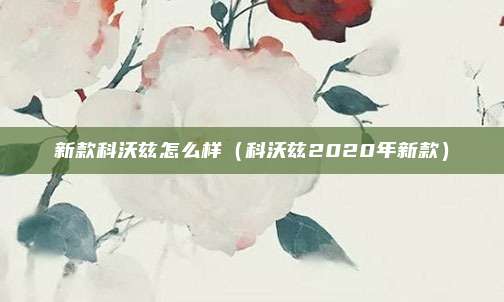 新款科沃兹怎么样（科沃兹2020年新款）