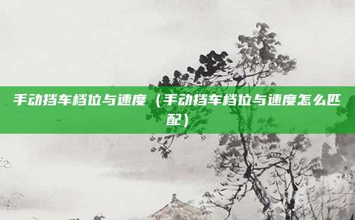 手动挡车档位与速度（手动挡车档位与速度怎么匹配）