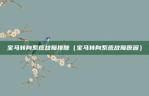 宝马转向系统故障排除（宝马转向系统故障原因）
