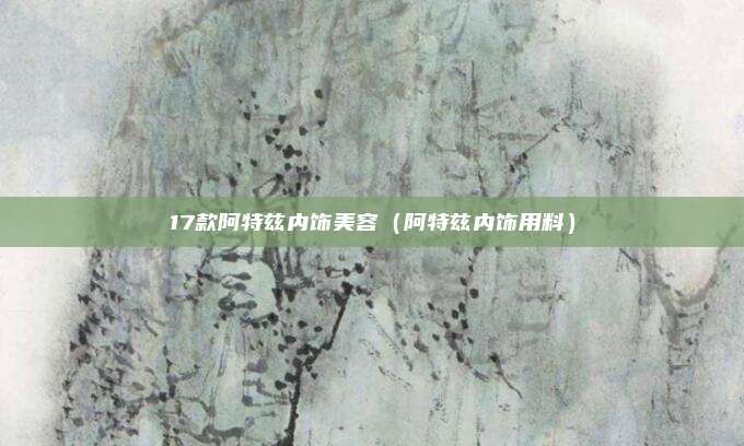 17款阿特兹内饰美容(阿特兹内饰用料)