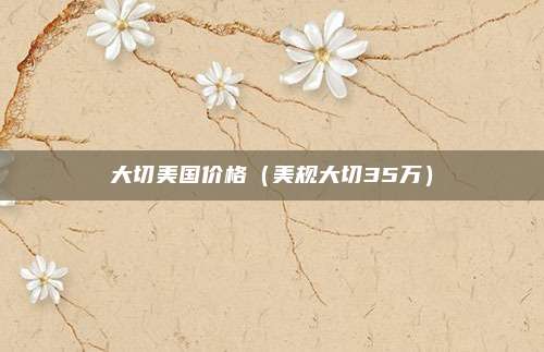 大切美国价格（美规大切35万）