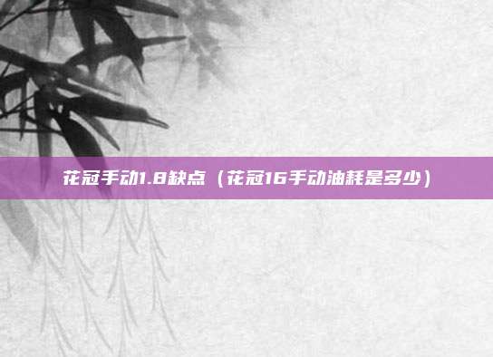 花冠手动1.8缺点（花冠16手动油耗是多少）
