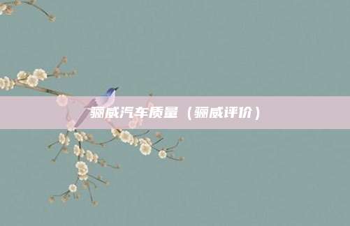骊威汽车质量（骊威评价）