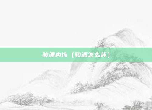 骏派内饰（骏派怎么样）