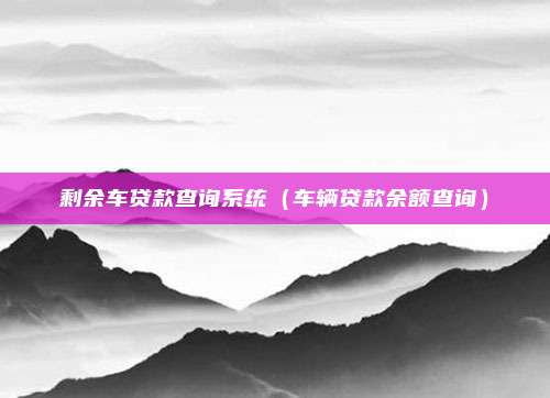 剩余车贷款查询系统（车辆贷款余额查询）