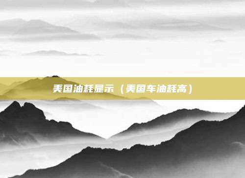 美国油耗显示（美国车油耗高）