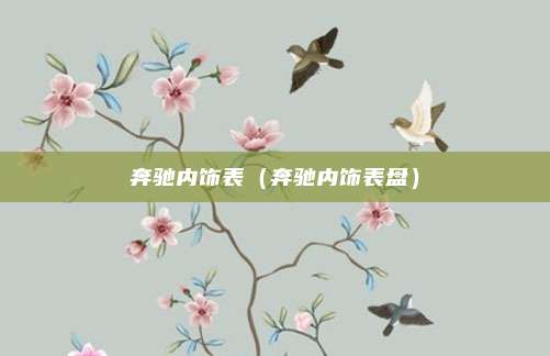 奔驰内饰表（奔驰内饰表盘）