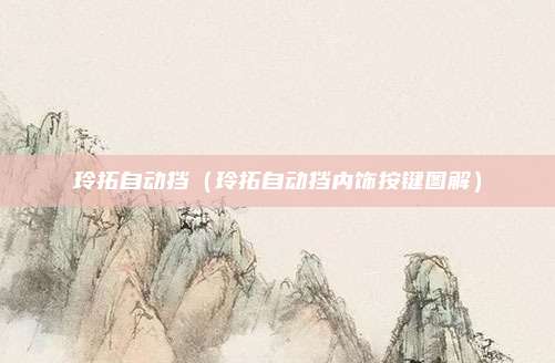 玲拓自动挡（玲拓自动挡内饰按键图解）