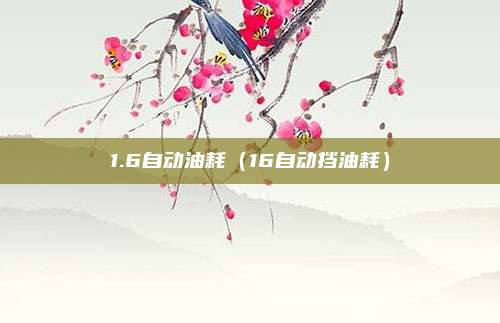 1.6自动油耗(16自动挡油耗)