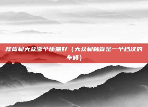林肯和大众哪个质量好（大众和林肯是一个档次的车吗）