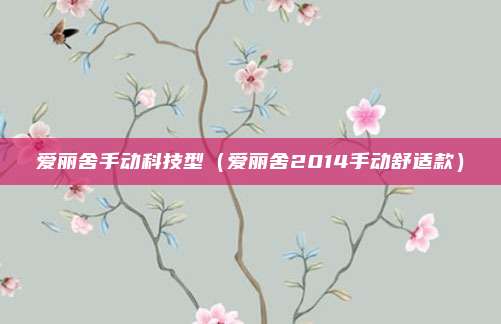 爱丽舍手动科技型（爱丽舍2014手动舒适款）