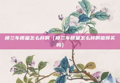 楼兰车质量怎么样啊(楼兰车质量怎么样啊值得买吗)