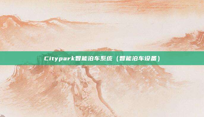 Citypark智能泊车系统(智能泊车设备)