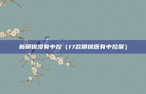 新明锐没有中控（17款明锐原有中控屏）