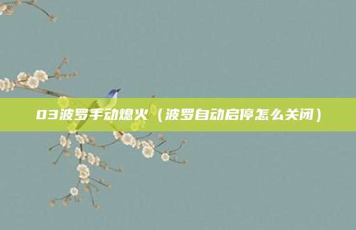 03波罗手动熄火（波罗自动启停怎么关闭）