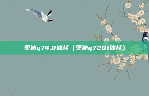 奥迪q74.0油耗（奥迪q720t油耗）