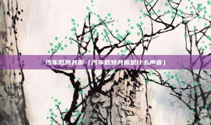 汽车低频共振（汽车低频共振是什么声音）