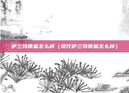 伊兰特质量怎么样（现代伊兰特质量怎么样）