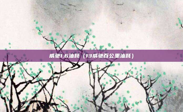 威驰1.6油耗（13威驰百公里油耗）